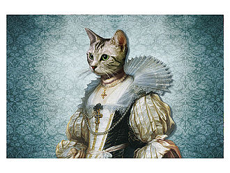 Katzenliebhaber