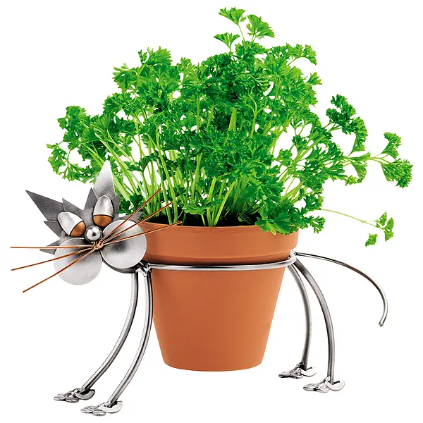 kreative günstig Kaufen-Metallfigur Katze als Blumentopfhalter. Metallfigur Katze als Blumentopfhalter <![CDATA[Für Katzenliebhaber eine ausgefallene Geschenkidee. Von den Machern der Schraubenmännchen eine kreative Idee. Ein Halter für Blumentöpfe als Katze. So kann man Top