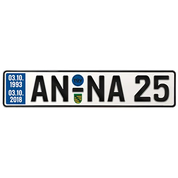 Geschenk zum 25. Geburtstag – Schild mit TÜV