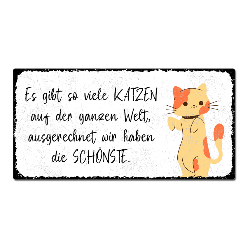 Blechschild Vintage Style mit Wunschtext im Format 300 x 150mm weiß