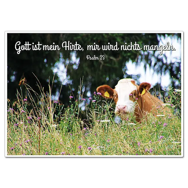 Schild Viel günstig Kaufen-Schild mit Bibelvers "Gott ist mein Hirte" - viele Größen erhältlich. Schild mit Bibelvers "Gott ist mein Hirte" - viele Größen erhältlich <![CDATA[Christliche Geschenke - Schild mit Bibelvers Gott ist mein Hi