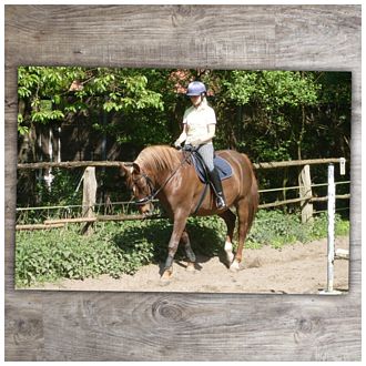 Fußmatte mit Pferd Fußmatte mit Pferd