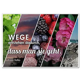 Wege entstehen dadurch, dass man sie geht.