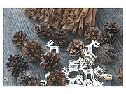 Einfach natürlich schön Diese Fußmatte aus der Gallery- Kollektion pass gut in die Advents- und Weihnachtsstube. Dekorieren Sie damit Ihren Eingangsbereich einmal ein bisschen anders. Denn dieses ... Fußmatte Tannenzapfen und Elche
