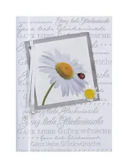 Grußkarte mit Glückwünschen zum Geburtstag oder für verschiedene andere Anlässe