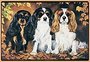 Geeignet für innen und außen. Nicht ausbleichend. Fest imprägnierte Farben auf Polyester Oberfläche. Die Rückseite mit rutschfestem Material bezogen, mit langhaltender Umrandung aus Polypropylene. ... Fußmatte Cavalier King Charles Spaniels