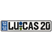 Schönes ausgefallenes Geburtstagsgeschenk zum 20. Geburtstag . Ein echtes Autokennzeichen mit dem Namen des Geburtstagskind, dem Geburtsdatum, dem Datum des 20 Geburtstagstags, Wappen des Bundeslands ... Geschenk zum 20. Geburtstag Geburtstagsgeschenk Schild mit TÜV