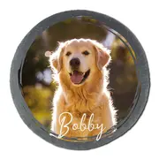 Schieferschild mit Golden Retriever