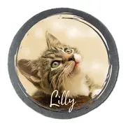 Schieferplatte mit Katzenfoto