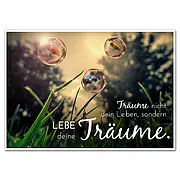 Träume nicht dein Leben...