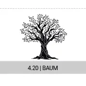 4-20-baum_s