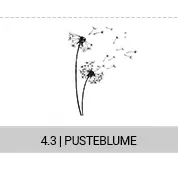 4-3-pusteblume_s