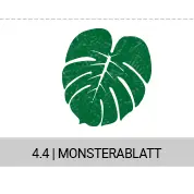 4-4-monstera_s