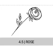 4-5-rose_s