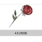 4-5-rose_s