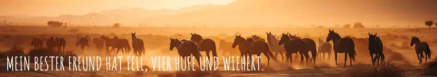 banner-pferd_s